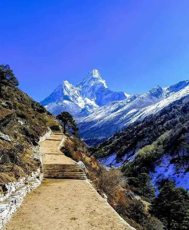 Best trekking company in Nepal