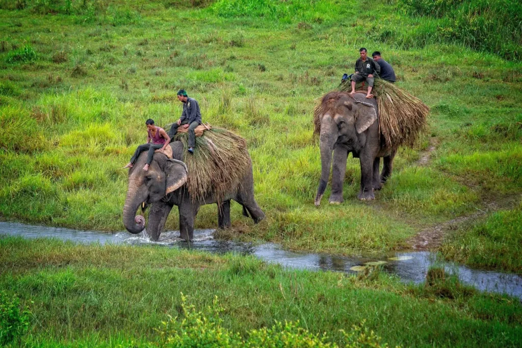 Places to Visit in Nepal - Chitwan National Park