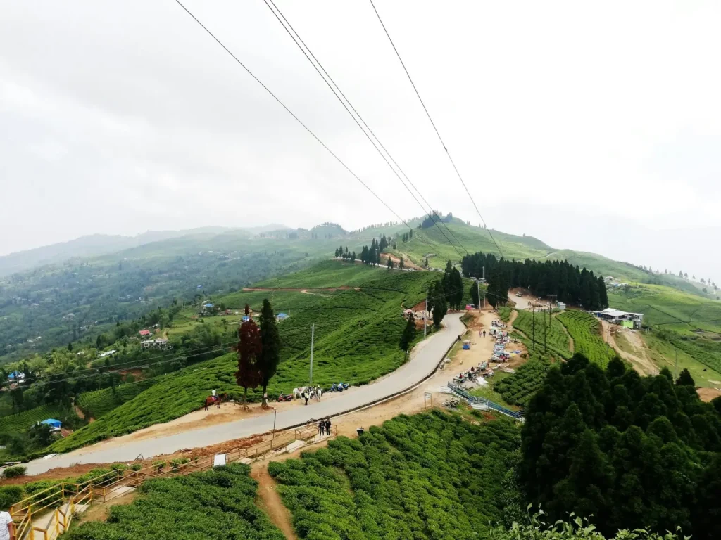 Places to Visit in Nepal - Ilam