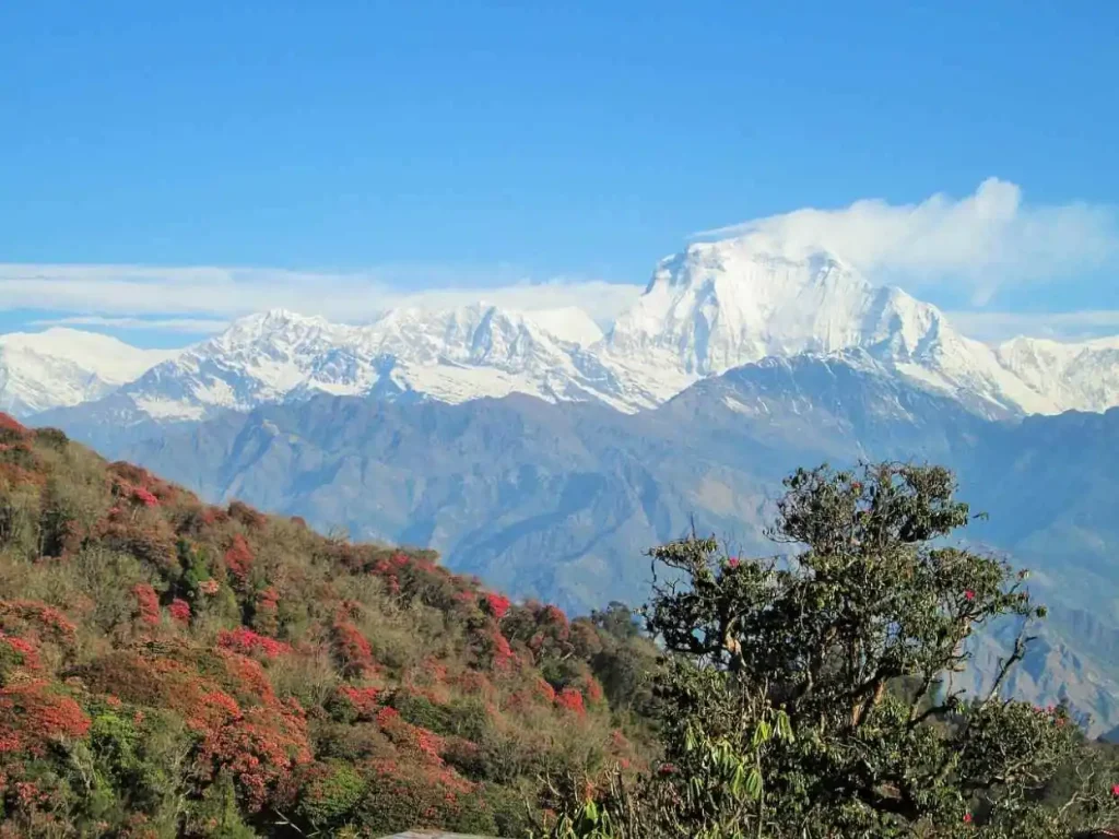 Best Annapurna Trek - Poonhill